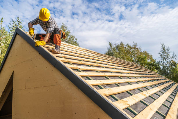 Roof Gutter Cleaning in St Clair Shores, MI