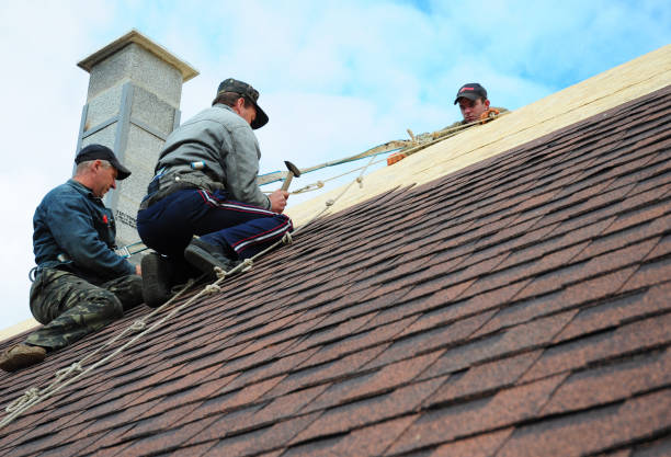 Quick and Trustworthy Emergency Roof Repair Services in St Clair Shores, MI