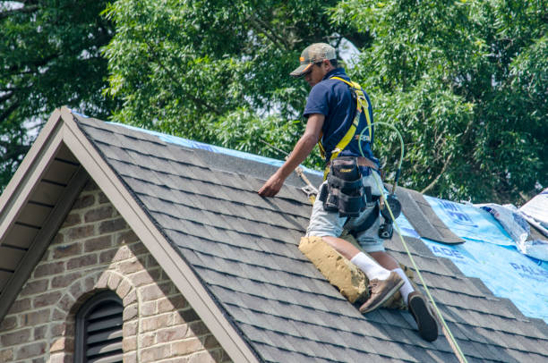 Professional Roofing Contractor in St Clair Shores, MI